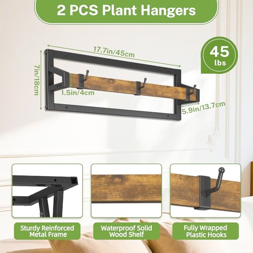 iDavosic.ly Wall Plant Holder 4 Pack, Metal Floating Flower Display Stand for Window Indoor Outdoor, Plant Hanger for Ceiling, Space Saving & Easy to Assemble (Pots/Chains/Plants Not Included), Black