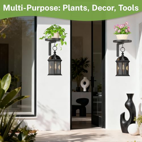 iDavosic.ly Wall Plant Holder Set of 3 for Indoor Outdoor, Metal Hanger with 2 Hooks, 12 Inch Heavy Duty Iron Wall Brackets for Hanging Plants, Baskets, Bird Feeders, Window Garden Porch Patio, Black