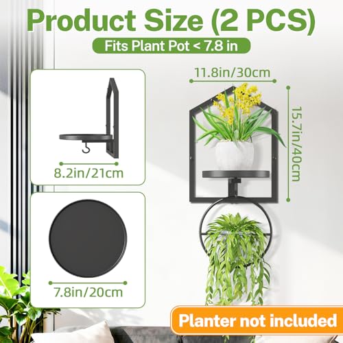 iDavosic.ly Wall Plant Holder Set of 4 with Hooks, Metal Floating Display Stand for Indoor Outdoor Plants, Picture Frames, Space Saving, Easy to Assemble, Black (Pots/Chains/Plants Not Included)