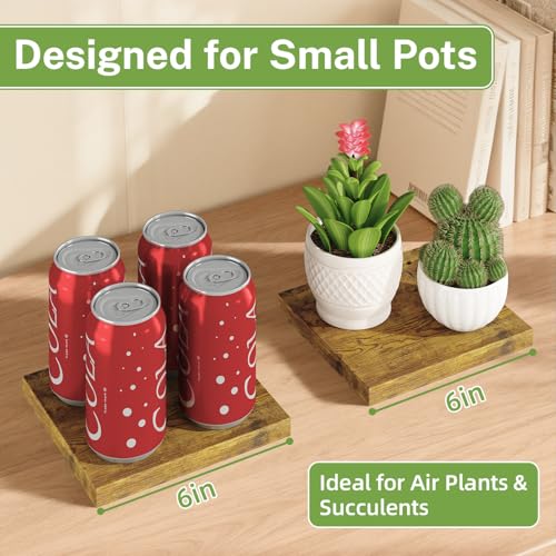 iDavosic.ly Small Table Top Plant Stand, 3 Tier Succulent & Flower Pot Holder for Desktop, Space-Saving Countertop Organizer Shelf for Office and Home Decor, Black Brown