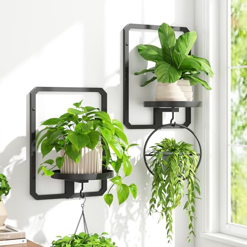 iDavosic.ly Wall Plant Holder Set of 3, Rotating Window Plant Shelves, 3-Tier Metal Stand with Hooks, Floating Display for Indoor Plants, Picture Frames, Decor, Black (Pots/Chains/Plants Not Included)