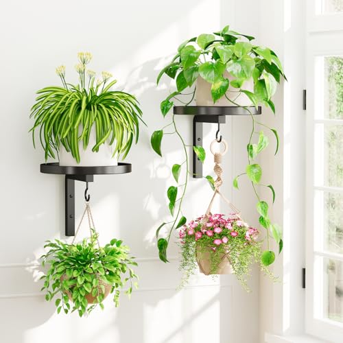 iDavosic.ly Wall Plant Holder Set of 3, Metal Hanger with 2 Hooks Indoor Outdoor, Rotating Window 3 Tier Plant Shelves Flower Display Holder Rack, Space Saving, Black (Pots/Chains/Plants Not Included)