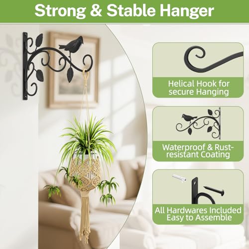 iDavosic.ly Wall Plant Holder Set of 3 for Indoor Outdoor, Metal Hanger with 2 Hooks, 12 Inch Heavy Duty Iron Wall Brackets for Hanging Plants, Baskets, Bird Feeders, Window Garden Porch Patio, Black