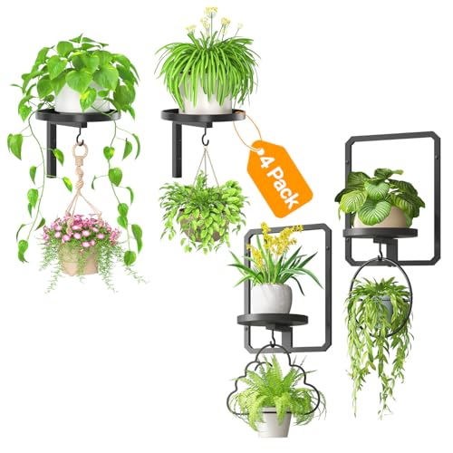 iDavosic.ly Floating Flower Display Stand Set of 4, Metal Wall Hanger with 2 Hooks for Plants & Picture Frames, Indoor Outdoor Window Home Decor, Space Saving (Pots/Chains/Plants Not Included)
