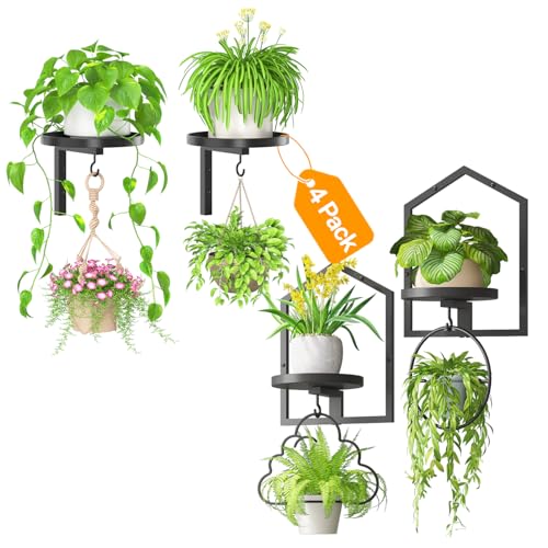 iDavosic.ly Wall Plant Holder Set of 4 with Hooks, Metal Floating Display Stand for Indoor Outdoor Plants, Picture Frames, Space Saving, Easy to Assemble, Black (Pots/Chains/Plants Not Included)