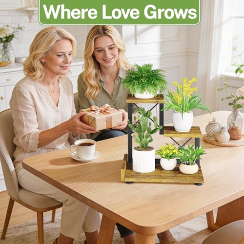 iDavosic.ly Small Table Top Plant Stand, 3 Tier Succulent & Flower Pot Holder for Desktop, Space-Saving Countertop Organizer Shelf for Office and Home Decor, Black Brown