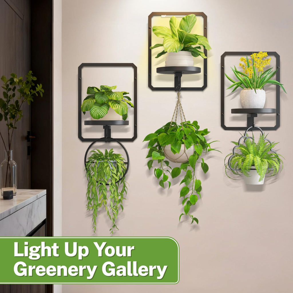 iDavosic.ly Wall Plant Picture Frame Holder Set of 3 with 1 Grow Light for Indoor, Metal Stand with Hanging Hooks, Space Saving Floating Flower Display Decor (Pots/Chains/Plants Not Included)