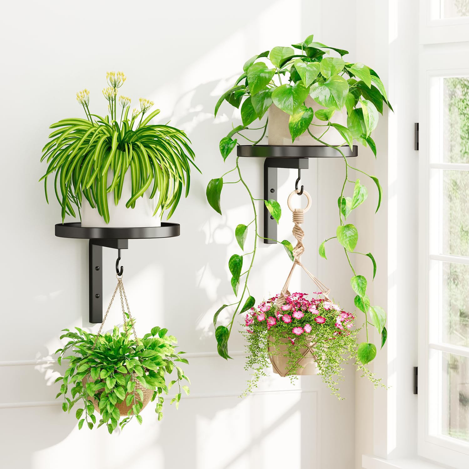 iDavosic.ly Wall Plant Holder 4 Pack, Metal Floating Flower Display Stand for Window Indoor Outdoor, Plant Hanger for Ceiling, Space Saving & Easy to Assemble (Pots/Chains/Plants Not Included), Black