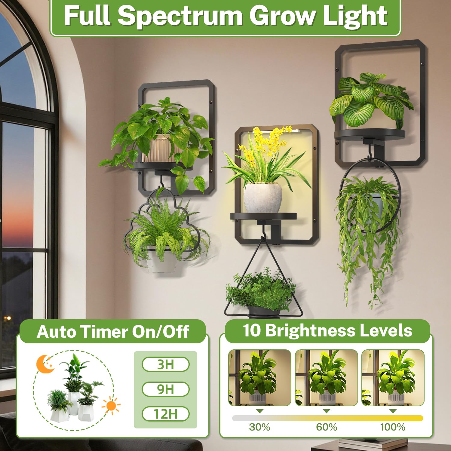 iDavosic.ly Wall Plant Picture Frame Holder Set of 3 with 1 Grow Light for Indoor, Metal Stand with Hanging Hooks, Space Saving Floating Flower Display Decor (Pots/Chains/Plants Not Included)