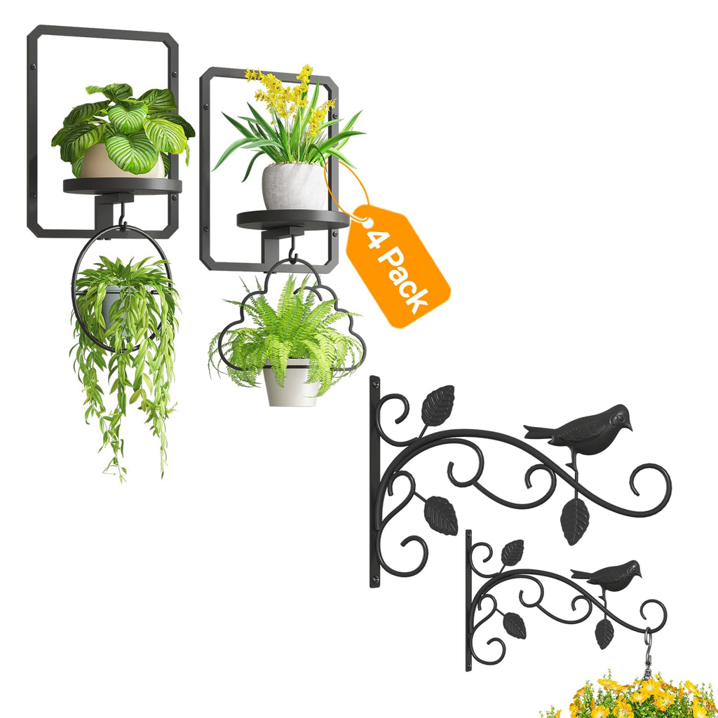 iDavosic.ly Wall Plant Holder Set of 4, Indoor Picture Frame Holder Outdoor Heavy Duty Plant Hangers, Metal Brackets for Hanging Plants, Baskets, Garden Patio Decor (Pots/Chains/Plants Not Included)