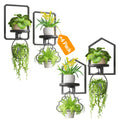 iDavosic.ly Wall Plant Picture Frame Holder Set of 4, Metal Stand with Hanging Hooks, Floating Flower Display Home Decor for Indoor, Space Saving, Easy to Assemble (Pots/Chains/Plants Not Included)