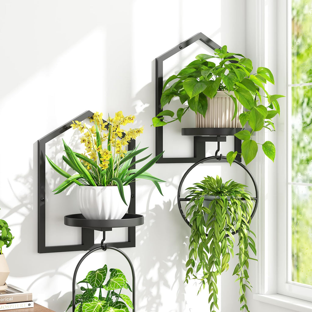 iDavosic.ly Wall Plant Display Set of 4, Floating Picture Frame Holder, 2-Tier Shelves with 4 Hooks, Metal Stand for Indoor Haning Home Decor Outdoor Space Saving (Pots/Chains/Plants Not Included)