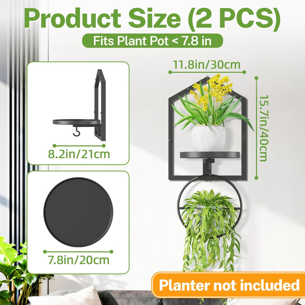 iDavosic.ly Wall Plant Display Set of 4, Floating Picture Frame Holder, 2-Tier Shelves with 4 Hooks, Metal Stand for Indoor Haning Home Decor Outdoor Space Saving (Pots/Chains/Plants Not Included)