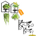 iDavosic.ly Wall Plant Stand Indoor Home Decor Set of 4, 12 Inch Outdoor Heavy Duty Hooks, Metal Floating Display Brackets for Hanging Plants, Lanterns, Garden Patio (Pots/Chains/Plants Not Included)