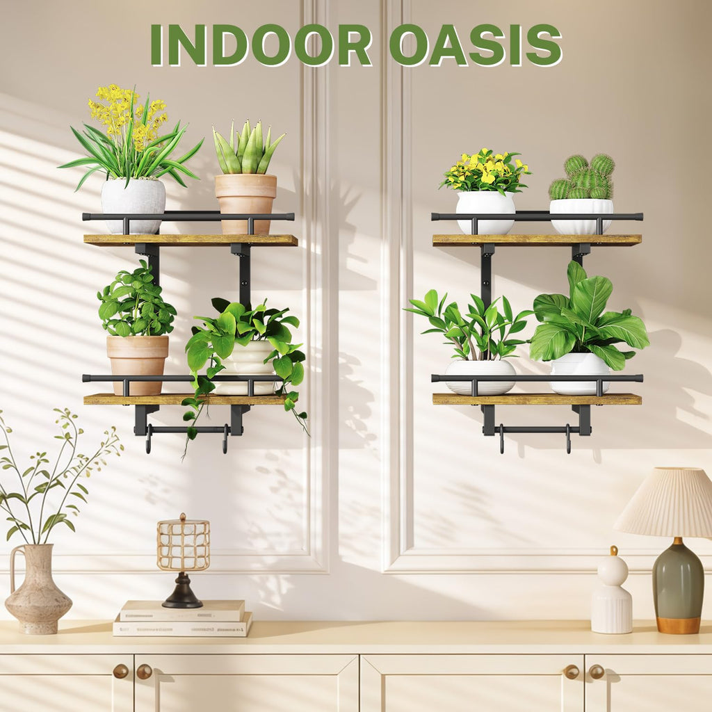 iDavosic.ly Wall Plant Holder Set of 4, 2-Tier Floating Shelf with Hooks for Hanging Plants, Metal Display Stand for Indoor Outdoor Living Room, Space Saving, Black(Pots/Chains/Plants Not Included)