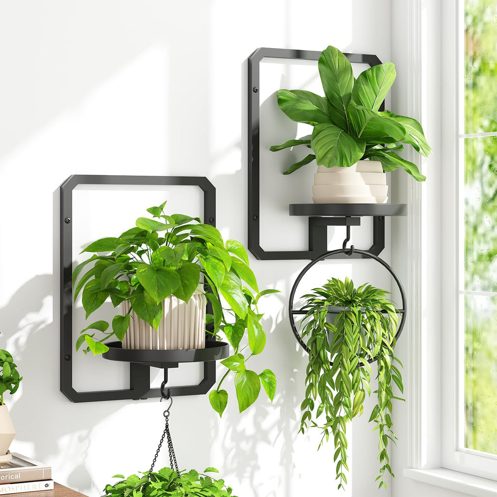 iDavosic.ly Wall Plant Picture Frame Holder Set of 3, Metal Stand with Hooks Trays, Floating Display Decor for Indoor Outdoor, Space Saving, Easy to Assemble (Pots/Chains/Plants Not Included)