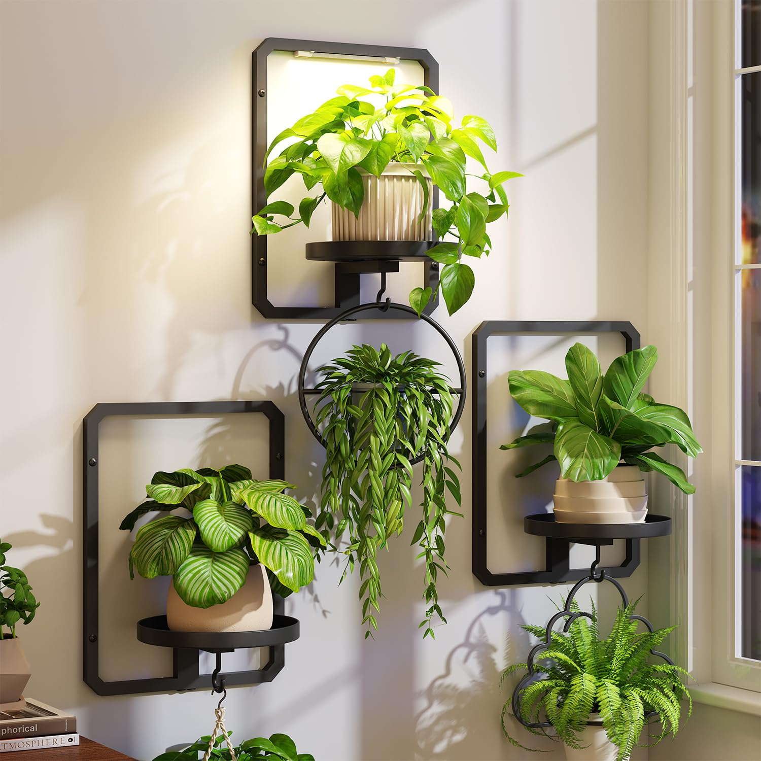 iDavosic.ly Wall Plant Picture Frame Holder Set of 3 with 1 Grow Light for Indoor, Metal Stand with Hanging Hooks, Space Saving Floating Flower Display Decor (Pots/Chains/Plants Not Included)