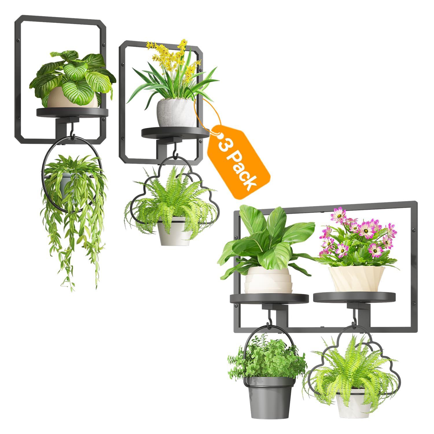 iDavosic.ly Wall Plant Picture Frame Holder Set of 3, Metal Stand with Hooks Trays, Floating Display Decor for Indoor Outdoor, Space Saving, Easy to Assemble (Pots/Chains/Plants Not Included)