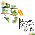 iDavosic.ly Wall Plant Floating Shelves Set of 4, 12 Inch Heavy Duty Plant Hangers, Metal Display Stand Indoor Outdoor Hanging Brackets for Garden, Patio, Space Saving (Pots/Chains Not Included)