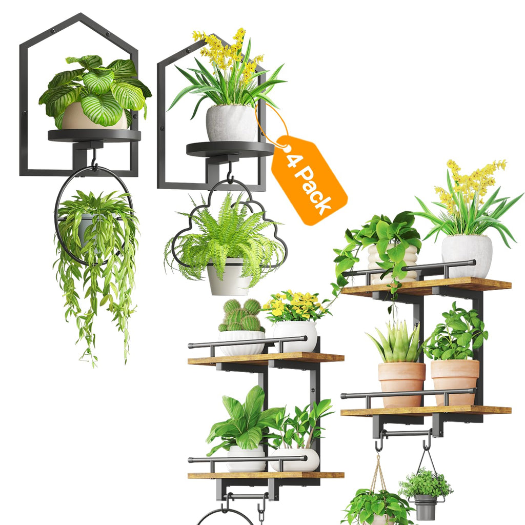 iDavosic.ly Wall Plant Display Set of 4, Floating Picture Frame Holder, 2-Tier Shelves with 4 Hooks, Metal Stand for Indoor Haning Home Decor Outdoor Space Saving (Pots/Chains/Plants Not Included)