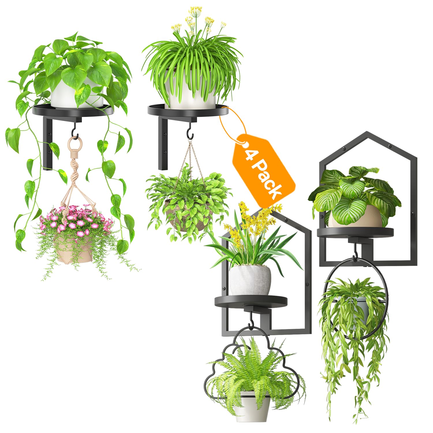iDavosic.ly Wall Plant Holder Set of 4 with Hooks, Metal Floating Display Stand for Indoor Outdoor Plants, Picture Frames, Space Saving, Easy to Assemble, Black (Pots/Chains/Plants Not Included)