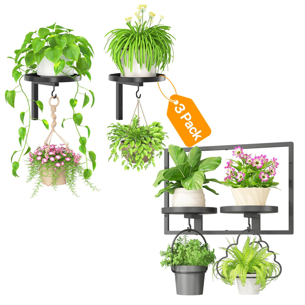 iDavosic.ly Wall Plant Holder Set of 3 with Hooks Trays, Metal Floating Display Stand for Indoor Outdoor, Picture Frames Decor, Space Saving, Easy to Assemble, Black (Pots/Chains/Plants Not Included)