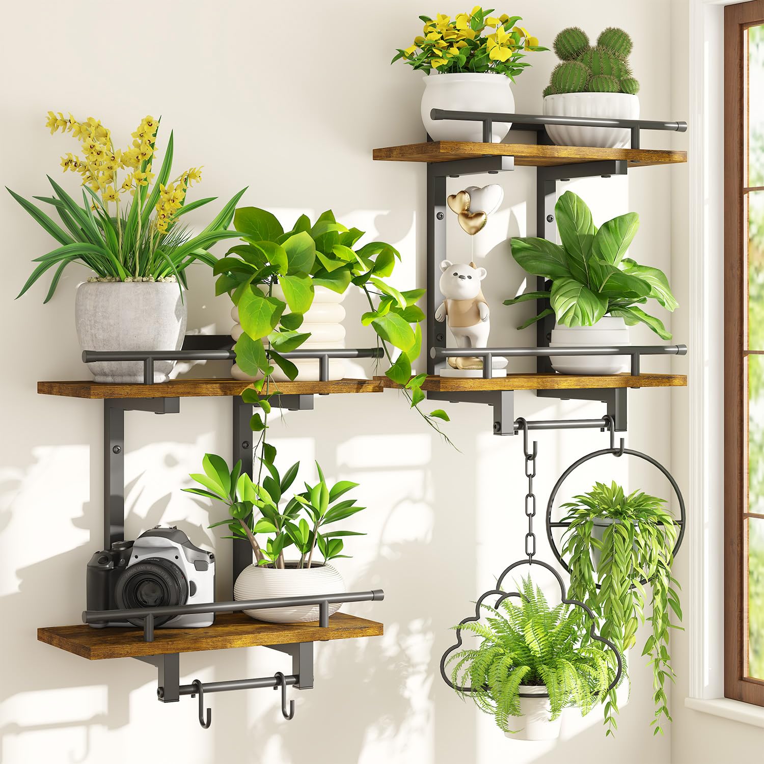 iDavosic.ly Wall Plant Holder Set of 3, 2-Tier Floating Shelves with Hooks, Metal Display Stand for Indoor Outdoor, Picture Frames, Living Room Decor, Space Saving (Pots/Chains/Plants Not Included)