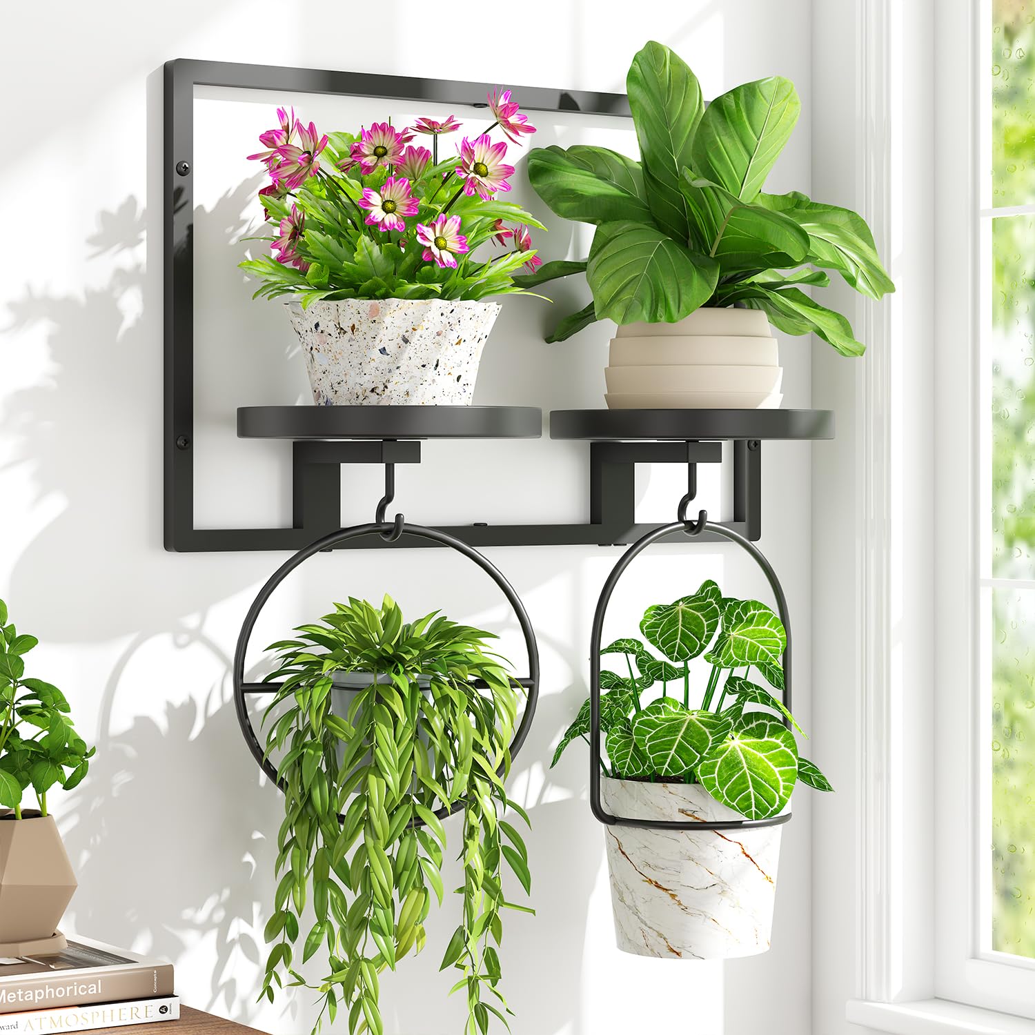 iDavosic.ly Wall Plant Picture Frame Holder Set of 3, Metal Stand with Hooks Trays, Floating Display Decor for Indoor Outdoor, Space Saving, Easy to Assemble (Pots/Chains/Plants Not Included)